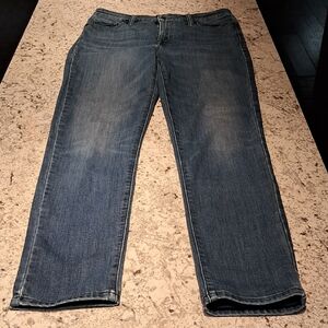 Lucky Brand Women's Skinny Blue Jeans Size 10/30